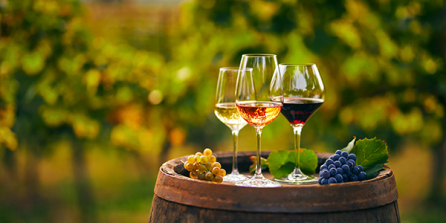 From Grapes to Glass: The History and Process of Winemaking